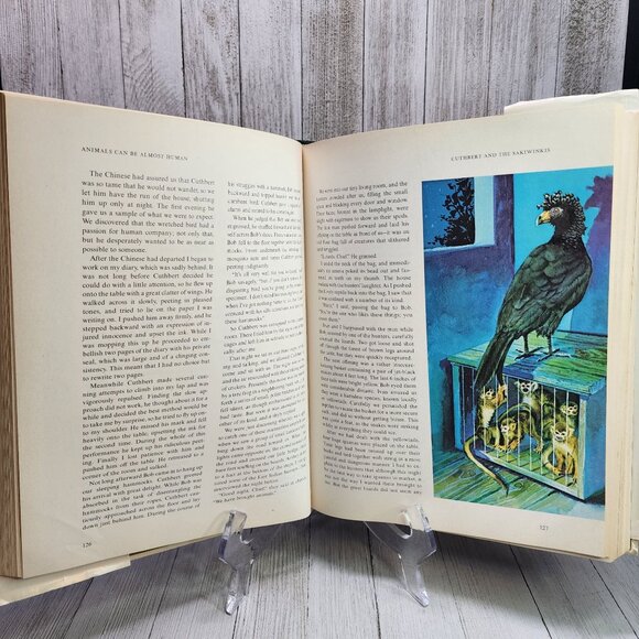 Animals Can Be Almost Human Reader's Digest - Hardcover - Picture 2 of 3